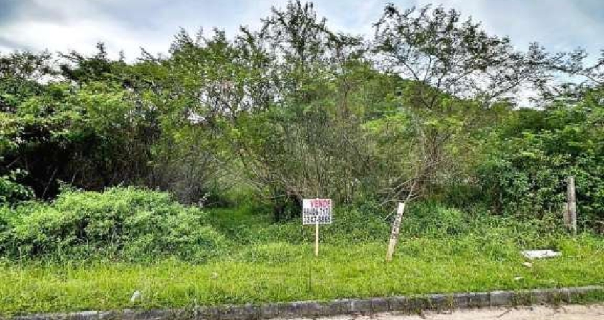 Terreno à venda, 360 m² por R$ 290.000,00 - Morro da Bina - Biguaçu/SC