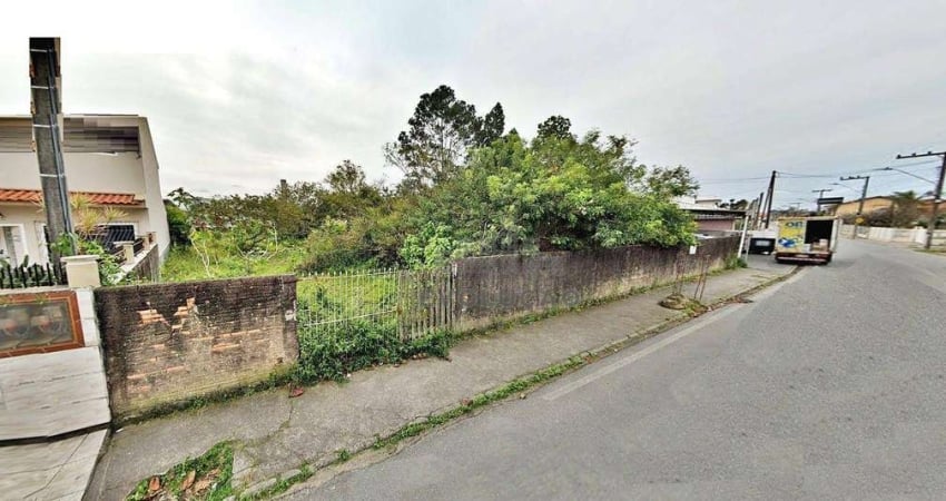 TERRENO 1000m², Escritura - Barra do Arirú - Santa Catarina