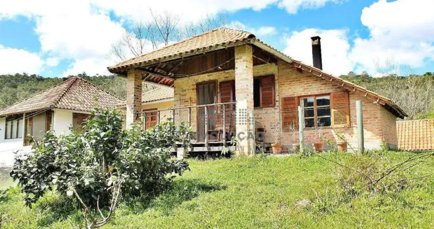 Chácara / sítio com 4 quartos à venda em Garcia, Angelina 