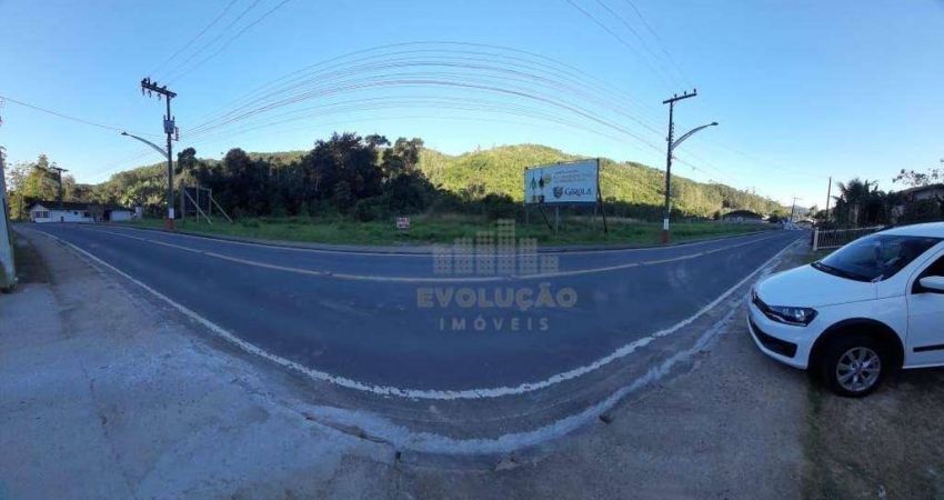 Terreno comercial para alugar em Vigolo, Nova Trento 