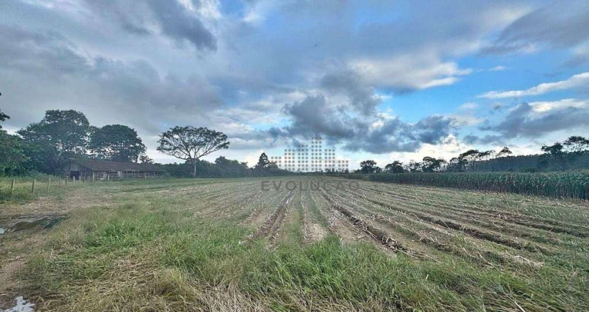 TERRENO,  47.775,00 m²  Escritura - Enseada de Brito