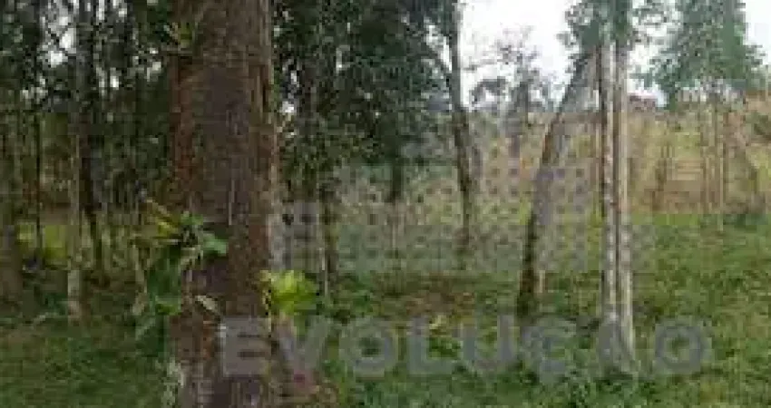 Chácara com 20.000m², Selo Orgânico em Rancho Queimado SC