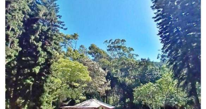 Terreno 175.000 m² - Rio Vermelho - Florianópolis