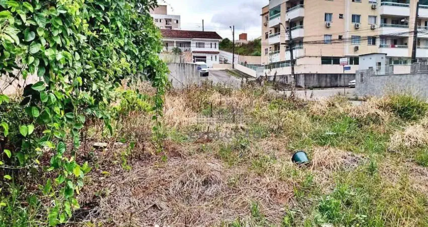 Terreno à venda na Rua Vergilino Domingos da Silva, Serraria, São José
