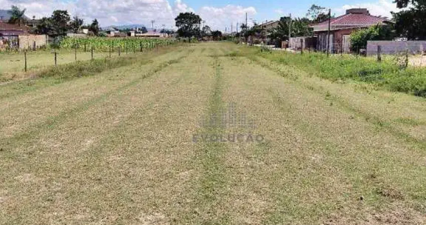 Terreno à venda na Servidão Bittencourt, Guarda do Cubatão, Palhoça