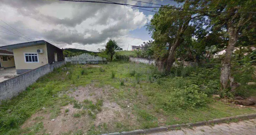 Terreno à venda na Travessa Antônio Gabriel Prim, Bom Viver, Biguaçu