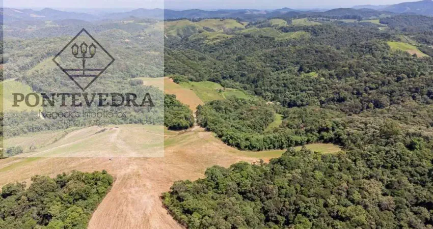 Área para Venda em Campo Magro, ROSEIRA DE SANTA RITA