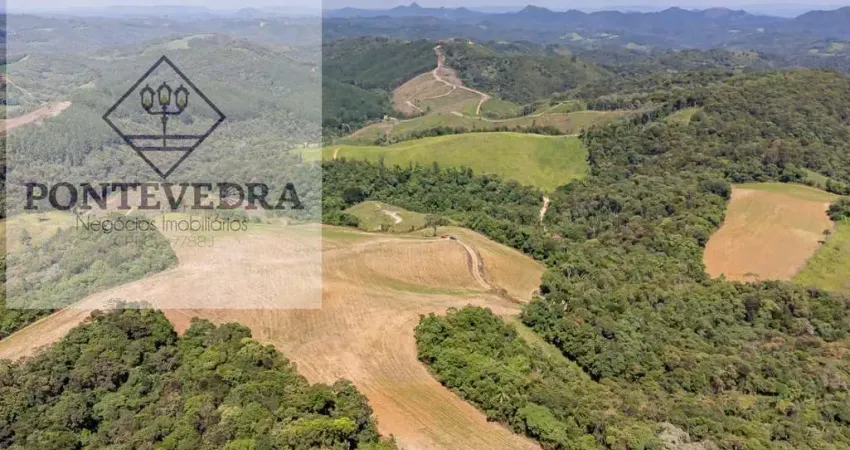 Terreno à venda na ROSEIRA DE SANTA RITA, Zona Rural, Campo Magro