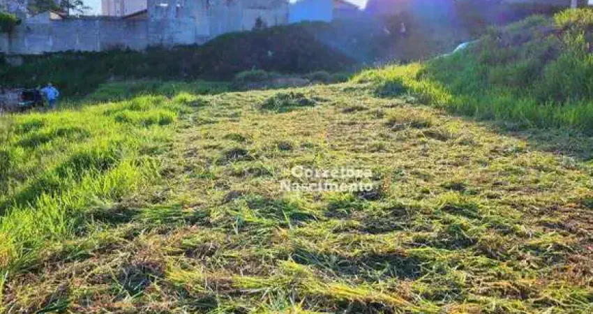 Terreno à venda, 125 m² por R$ 125.000,00 - Jardim Novo Amanhecer - Jacareí/SP