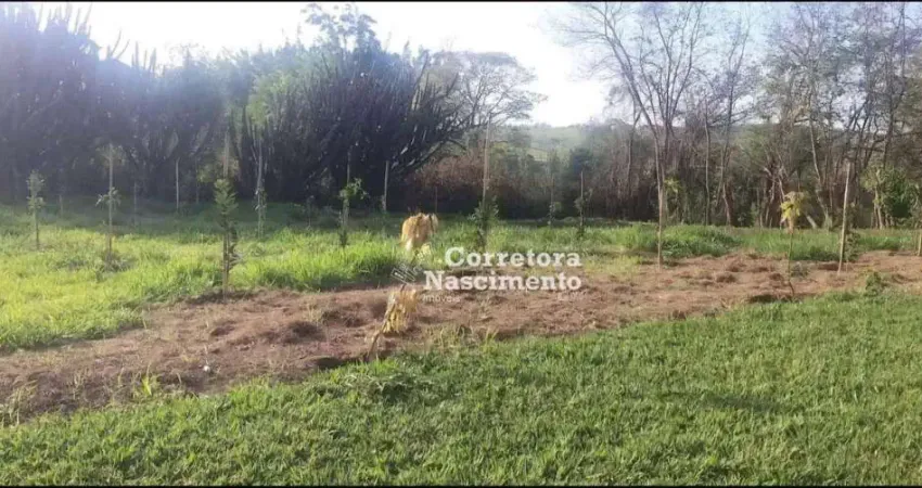 Terreno à venda, 8000 m² por R$ 745.000 - Chácaras Santa Maria - Jacareí/SP