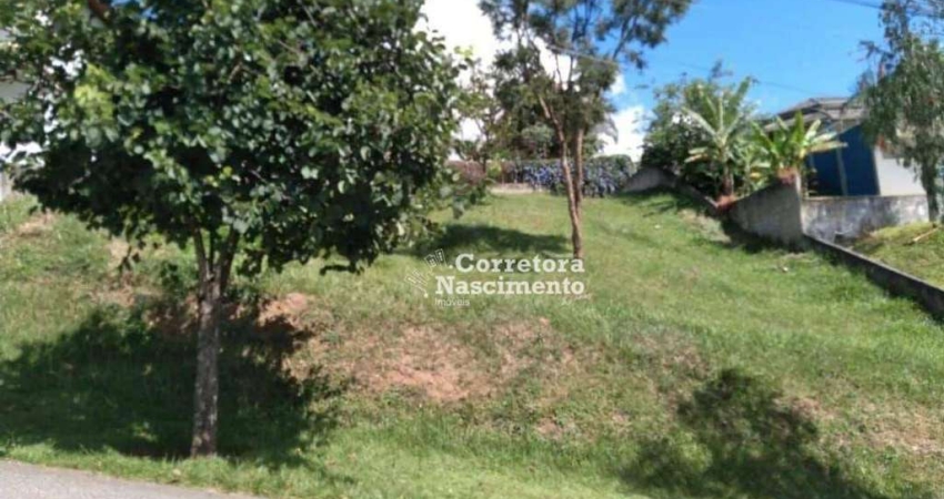Terreno à venda, 1000 m² por R$ 785.000,00 - Parque Mirante Do Vale - Jacareí/SP