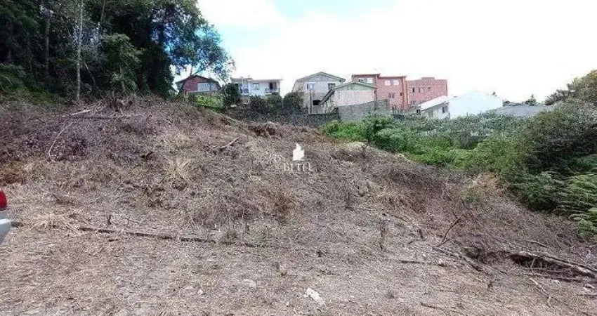 Terreno à venda no Desvio Rizzo, Caxias do Sul 