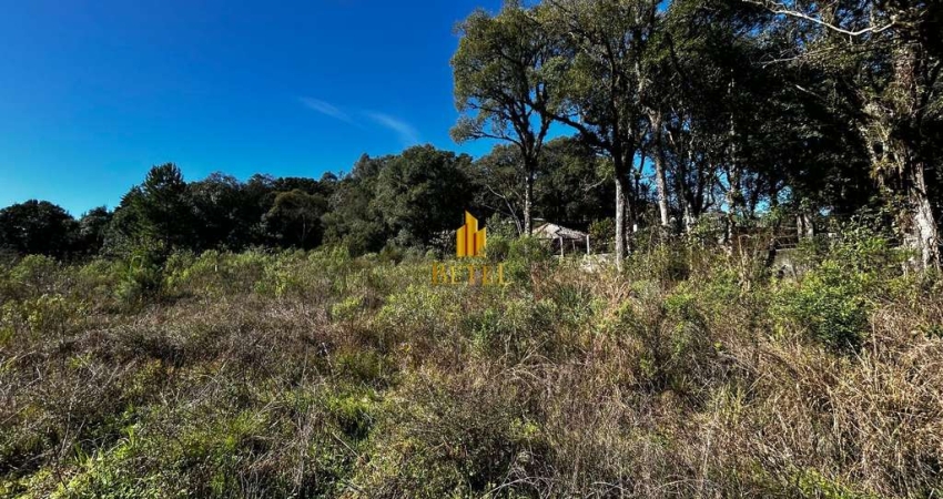 Terreno à venda no bairro Ana Rech - Caxias do Sul/RS