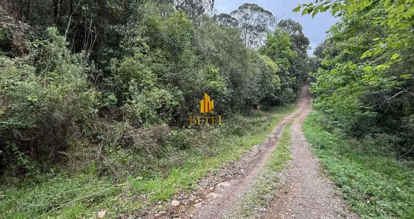 Terreno à venda na Ana Rech, Caxias do Sul