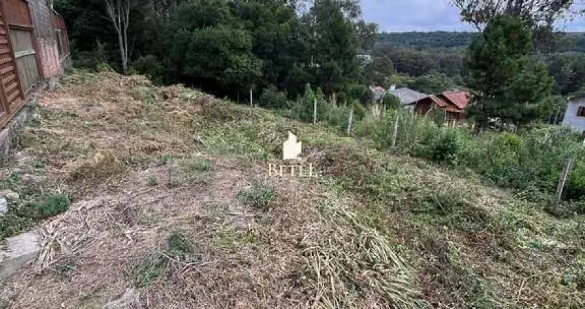 Terreno à venda no Vinhedos, Caxias do Sul