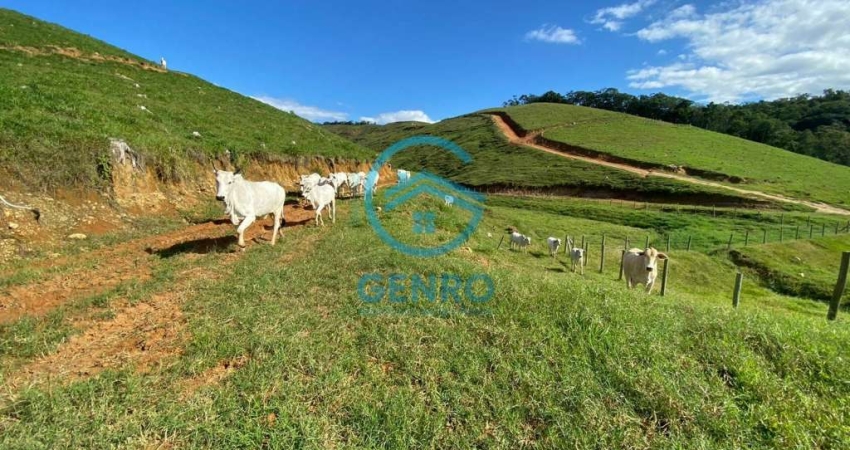Fazenda Documentada e com Terreno de 103 HECTARES à venda em São João Batista/SC