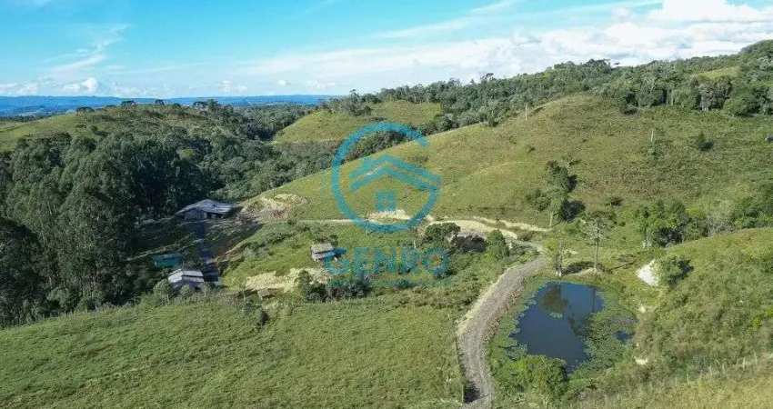 Fazenda com Lagoa e Terreno de 53 Hectares nas Margens da BR-282 à venda em Alfredo Wagner/SC