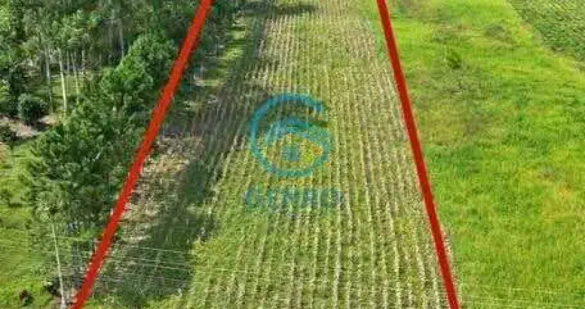 Área para sítio com riacho e terreno de 20.000m² ( 02 hectares ) à venda em canelinha/sc