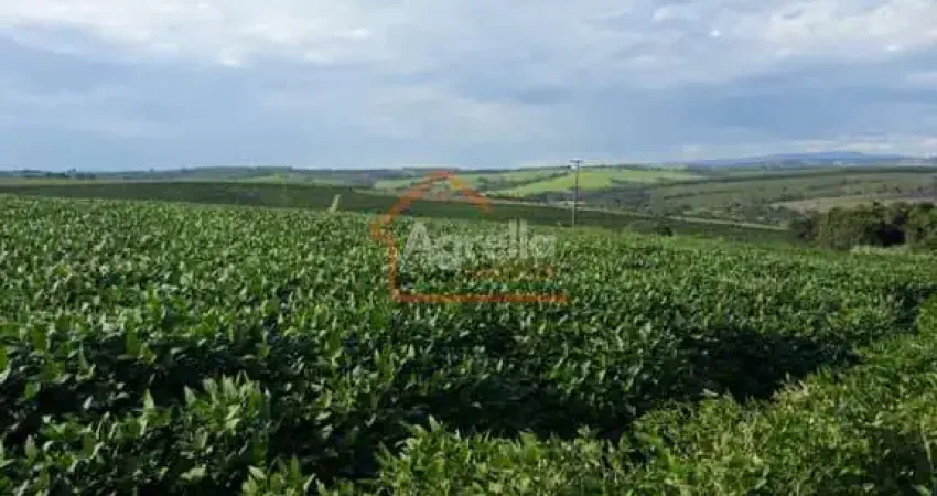 SÍTIO COM 8 ALQUEIRES Á VENDA NO DISTRITO MARTINHO PRADO JUNIOR - MOGI GUAÇU-SP.