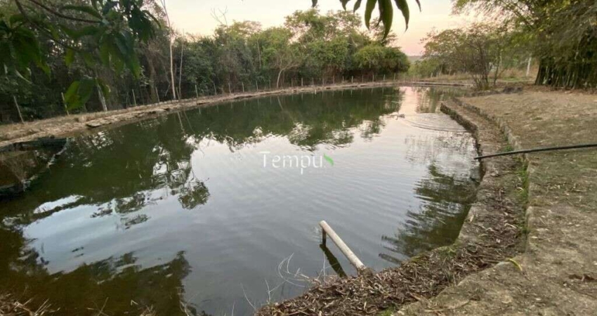 Fazenda zona Rural São Miguel do Passa Quatro, 175 ha,  - GO, 36,1 Alqueires