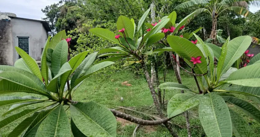Terreno à venda na Rua Governador Valadares, 00, Campo Alegre, Nova Iguaçu