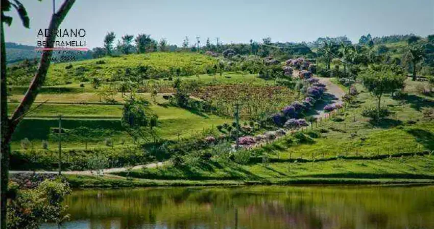 Chácara / sítio à venda na Rua Heitor Penteado, 179, Joaquim Egídio, Campinas