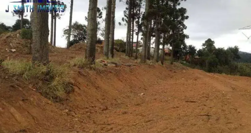 Área 2.740m² (zis) próx. ao centro de cotia (km 32 rap. tavares) p/ mcmv