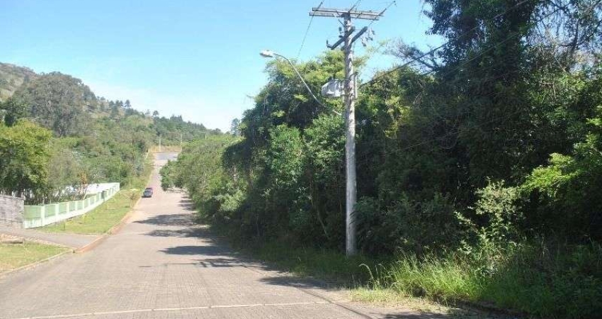Terreno à venda na Rua Giorgio Negroni, 861, Espírito Santo, Porto Alegre