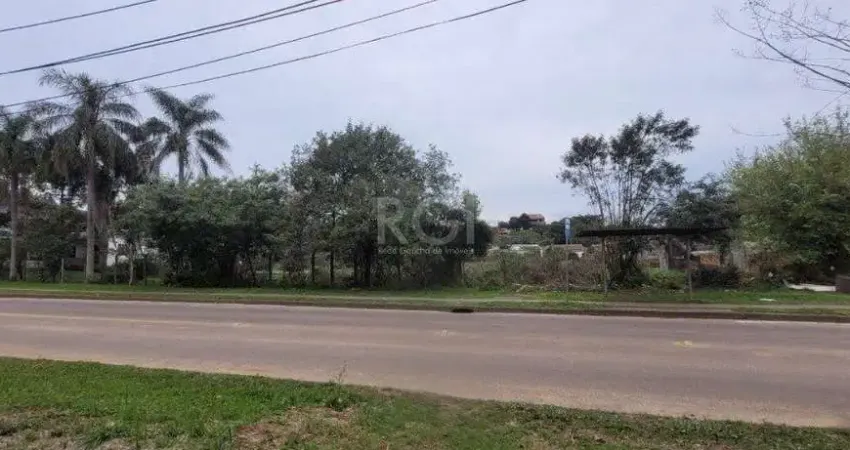 Terreno à venda na Estrada Jorge Pereira Nunes, 373, Campo Novo, Porto Alegre
