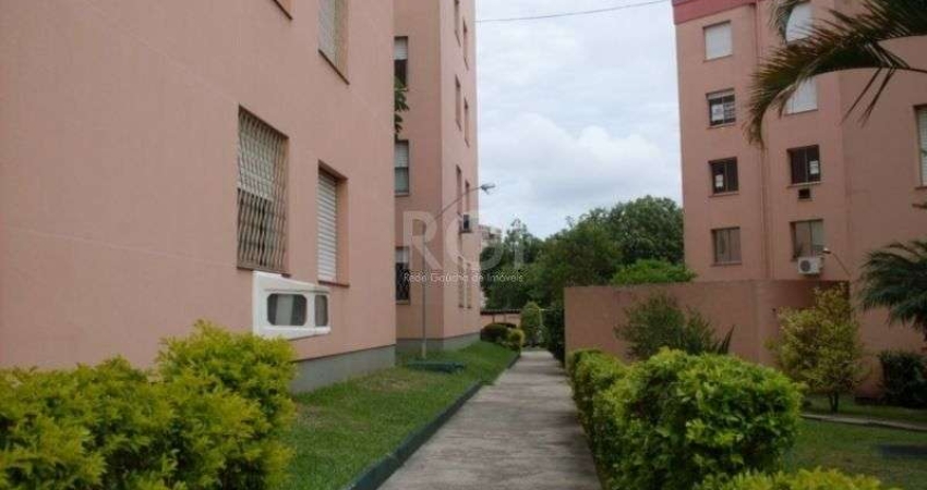 Apartamento em Morro Santana