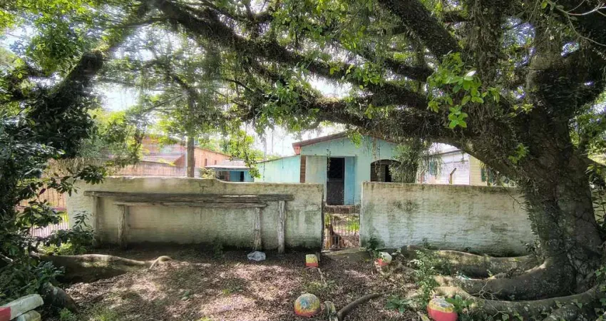 Terreno à venda na Rua Santa Mônica, 355, Ponta Grossa, Porto Alegre