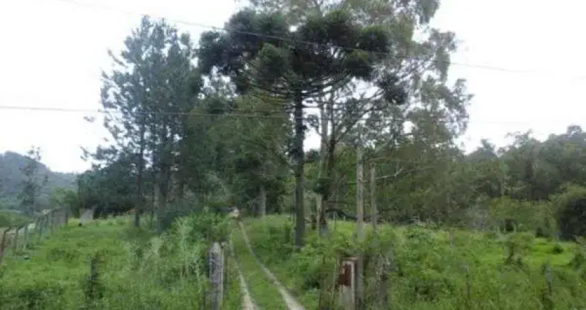 Terreno à venda na Estrada Afonso Lourenço Mariante, 1692, Belém Velho, Porto Alegre