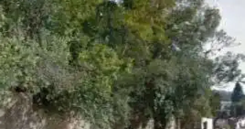 Terreno à venda na Rua Agenor Mendes Ouriques, 963, Serraria, Porto Alegre