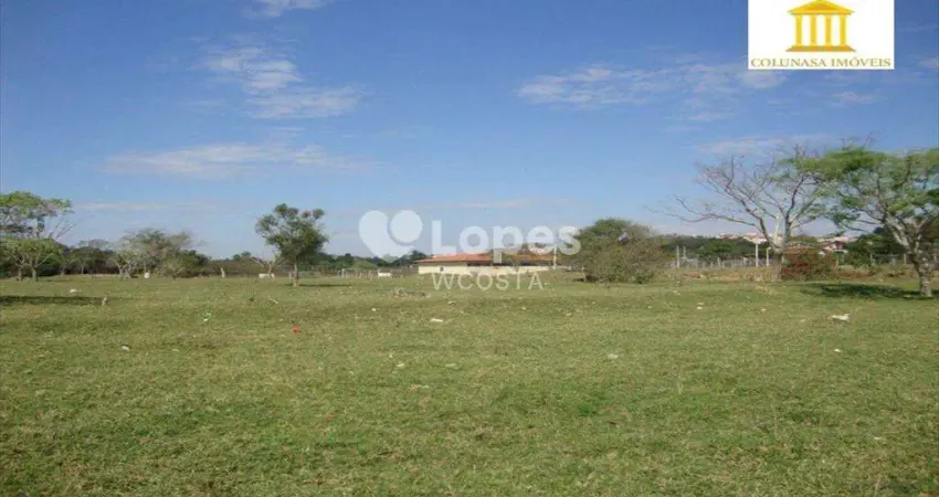 Terreno residencial à venda, Vila Hollândia, Campinas-SP.