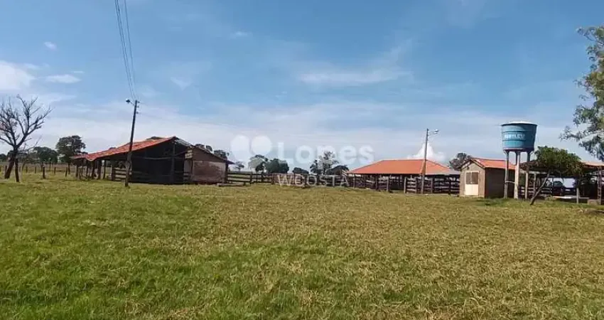 Fazenda à venda no Setor Central, Quirinópolis 