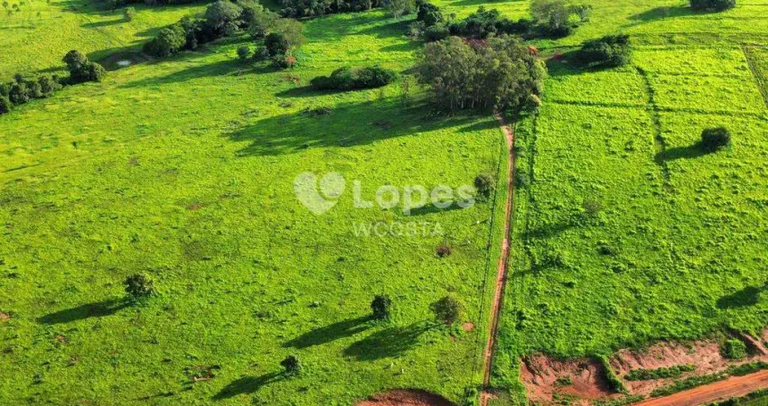 Fazenda à venda no Centro, Gurinhatã 
