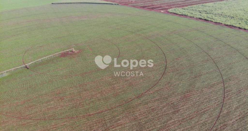 Fazenda à venda no Centro, Conceição das Alagoas 