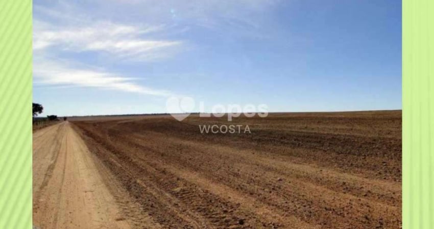 Fazenda de 40.000 ha, Cocos/BA