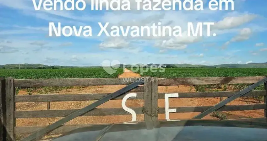 Fazenda à venda no Centro, Nova Xavantina 