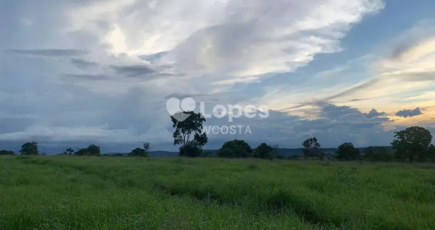 Fazenda à venda no Centro, Gurinhatã 
