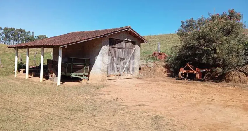 Fazenda à venda no Centro, Bueno Brandão 