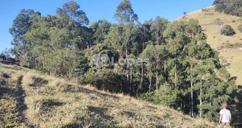 Fazenda à venda no Centro, Córrego do Bom Jesus 