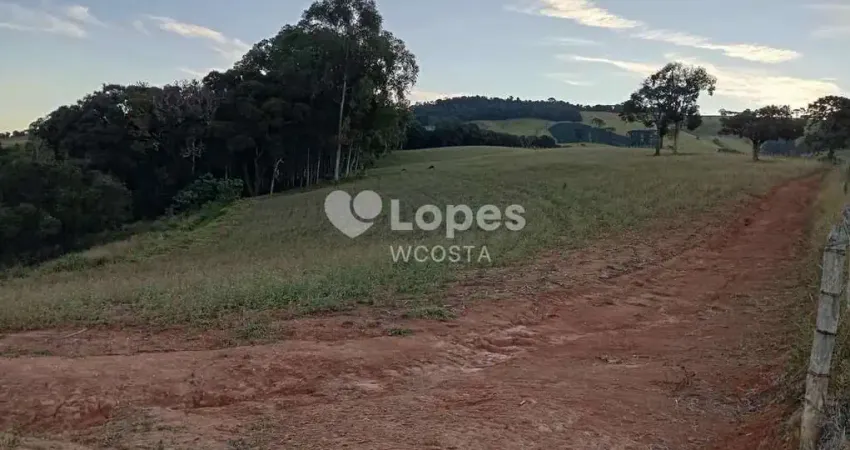 Fazenda à venda no Centro, Bueno Brandão 