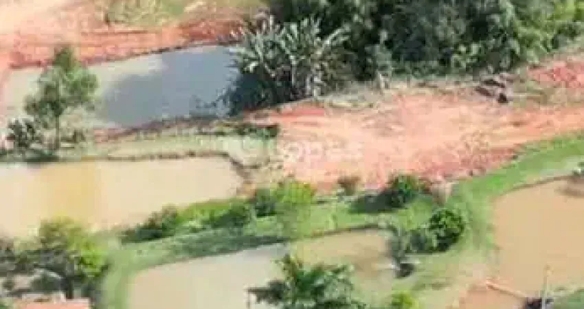 Fazenda à venda no Centro, Muzambinho 