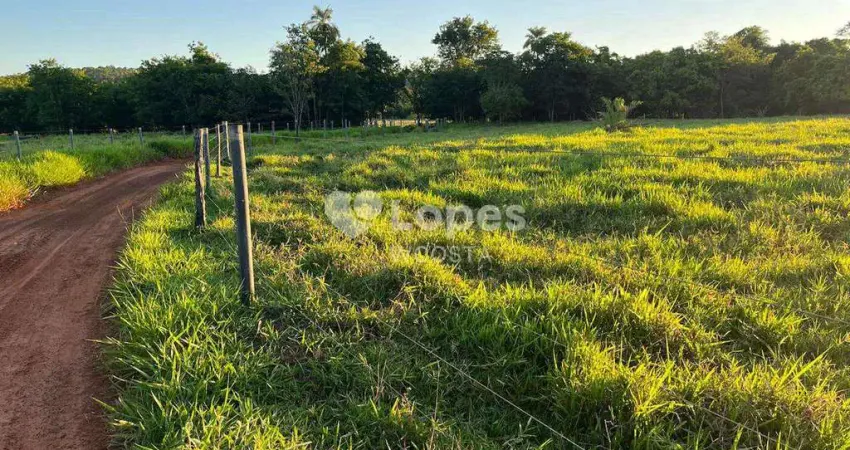 Fazenda à venda no Centro, Frutal 