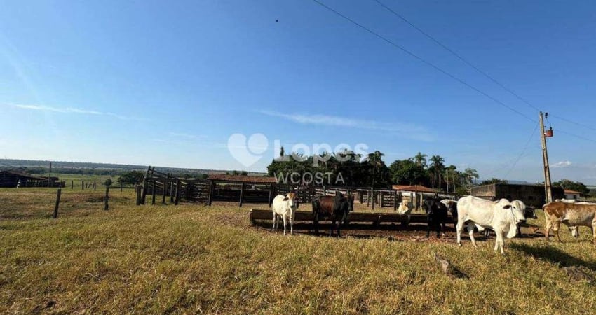 Fazenda à venda no Centro, Santa Vitória 