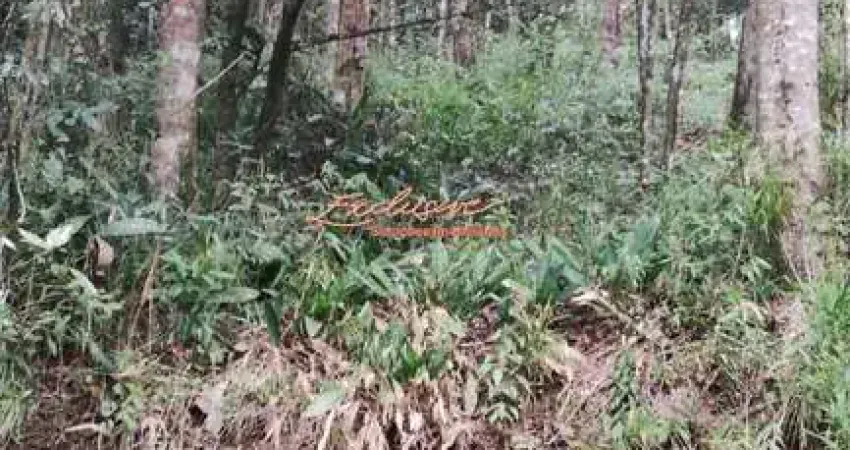 TERRENO PARA CHACARA OPORTUNIDADE 2100M2 OURO FINO