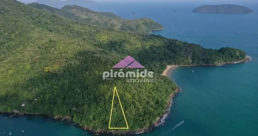 Terreno à venda, 4000 m² por R$ 550.000,00 - Lagoinha - Ubatuba/SP