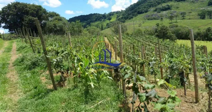 Chácara / sítio com 3 quartos à venda na Zona Rural - Não é Centro !, Centro, Bocaina de Minas