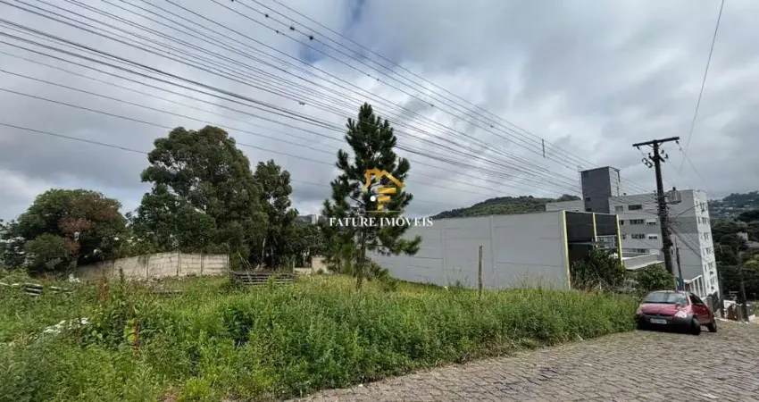 Terreno à venda na José Menegotto, São Luiz, Caxias do Sul